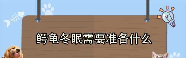 鳄龟冬眠需要准备什么