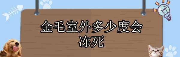 金毛室外多少度会冻死