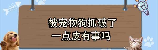 被宠物狗抓破了一点皮有事吗