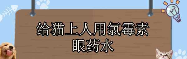 给猫上人用氯霉素眼药水