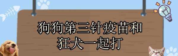 狗狗第三针疫苗和狂犬一起打