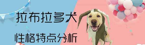 拉布拉多犬性格怎么样