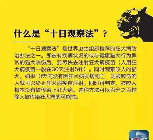 被野猫咬了没打针有事吗 会感染狂犬病吗?