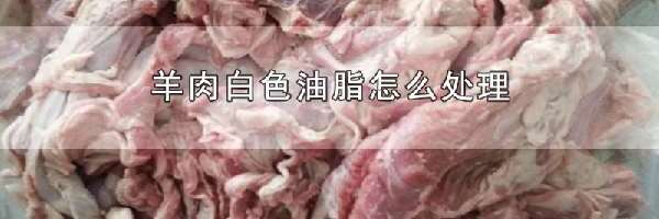 羊肉白色油脂怎么处理