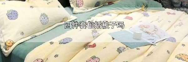 四件套包括被子吗