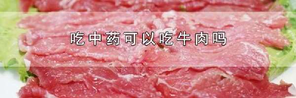 吃中药可以吃牛肉吗