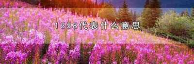 1358代表什么意思