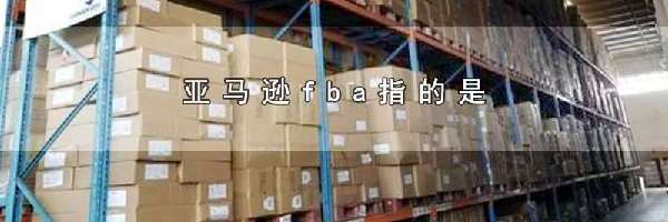 亚马逊fba指的是