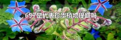 697是代表珍贵植物提取吗