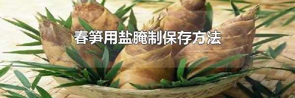 春笋用盐腌制保存方法