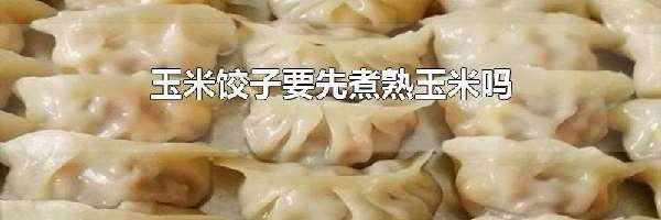 玉米饺子要先煮熟玉米吗