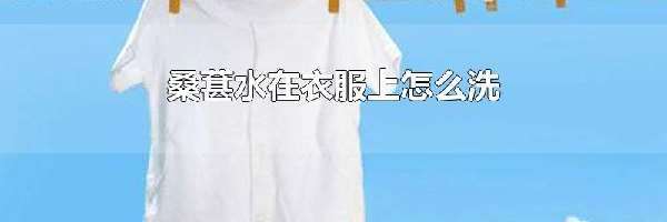 桑葚水在衣服上怎么洗