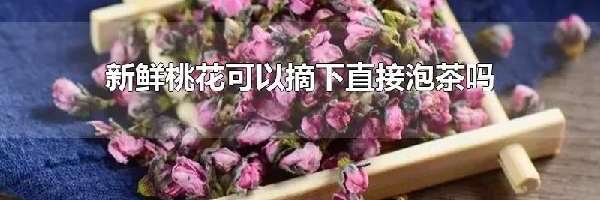 新鲜桃花可以摘下直接泡茶吗