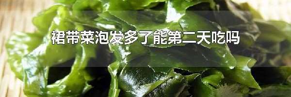 裙带菜泡发多了能第二天吃吗