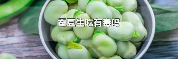 蚕豆生吃有毒吗