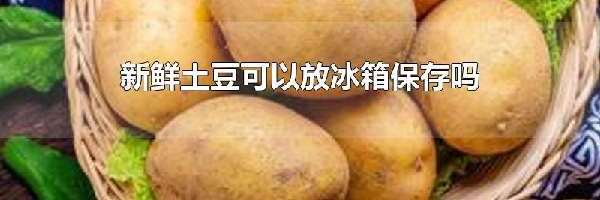 新鲜土豆可以放冰箱保存吗