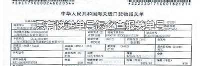 只有快递单号怎么查报关单号