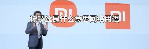 拧螺丝是什么意思网络用语