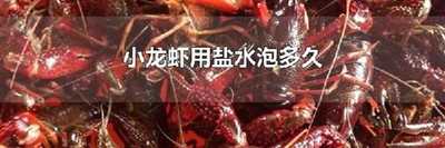 小龙虾用盐水泡多久