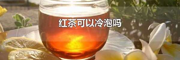 红茶可以冷泡吗