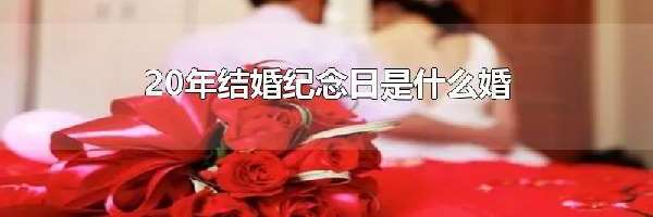 20年结婚纪念日是什么婚