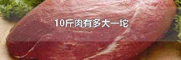 10斤肉有多大一坨