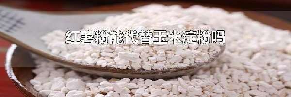 红薯粉能代替玉米淀粉吗