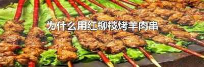 为什么用红柳枝烤羊肉串