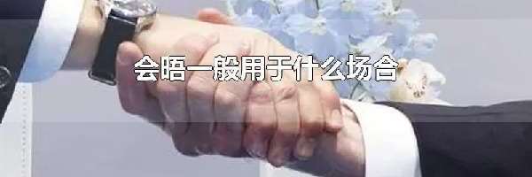 会晤一般用于什么场合