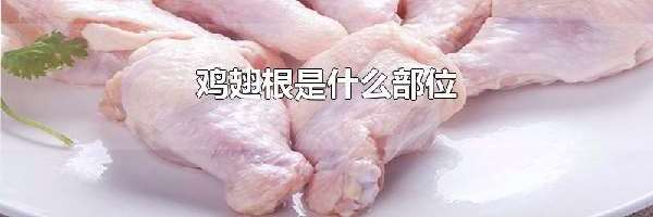 鸡翅根是什么部位