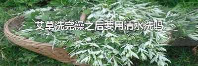 艾草洗完澡之后要用清水洗吗