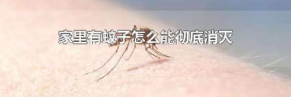 家里有蚊子怎么能彻底消灭