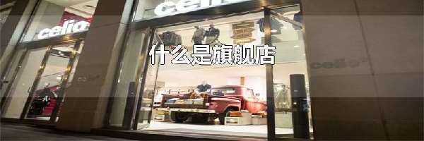 什么是旗舰店