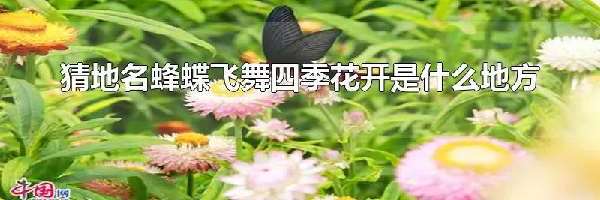 猜地名蜂蝶飞舞四季花开是什么地方