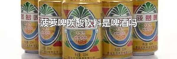 菠萝啤碳酸饮料是啤酒吗