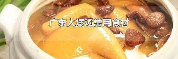 广东人煲汤常用食材