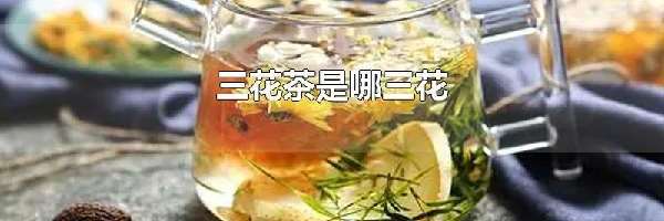 三花茶是哪三花