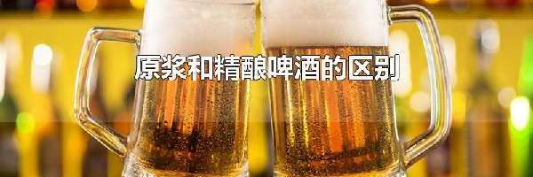 原浆和精酿啤酒的区别