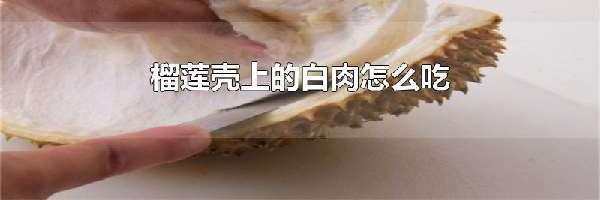 榴莲壳上的白肉怎么吃