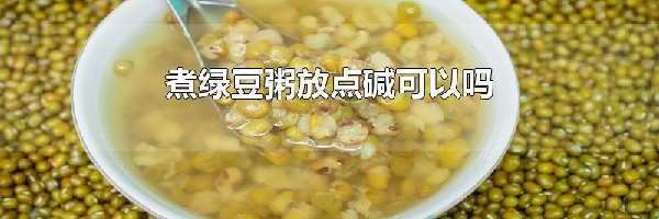 煮绿豆粥放点碱可以吗