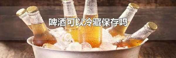 啤酒可以冷藏保存吗