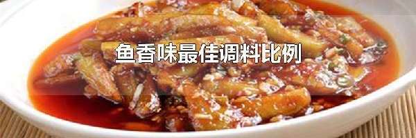 鱼香味最佳调料比例