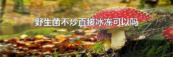 野生菌不炒直接冰冻可以吗