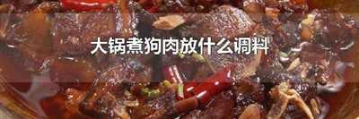 大锅煮狗肉放什么调料