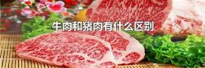 牛肉和猪肉有什么区别