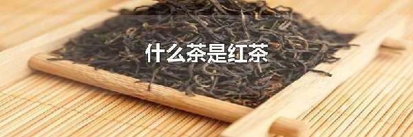 什么茶是红茶