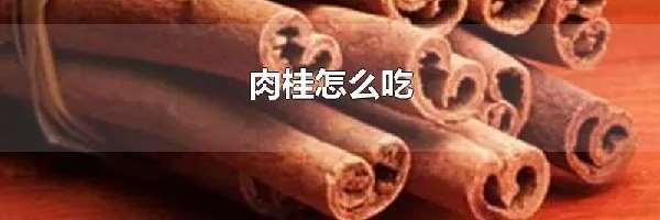 肉桂怎么吃