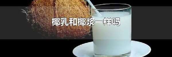 椰乳和椰浆一样吗