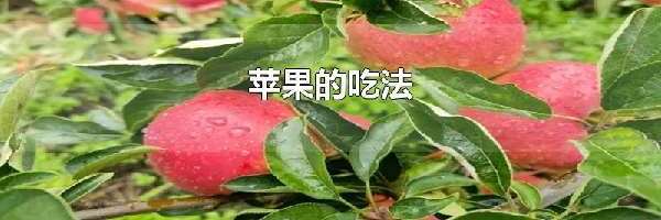 苹果的吃法