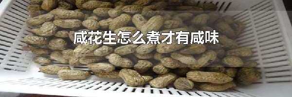 咸花生怎么煮才有咸味